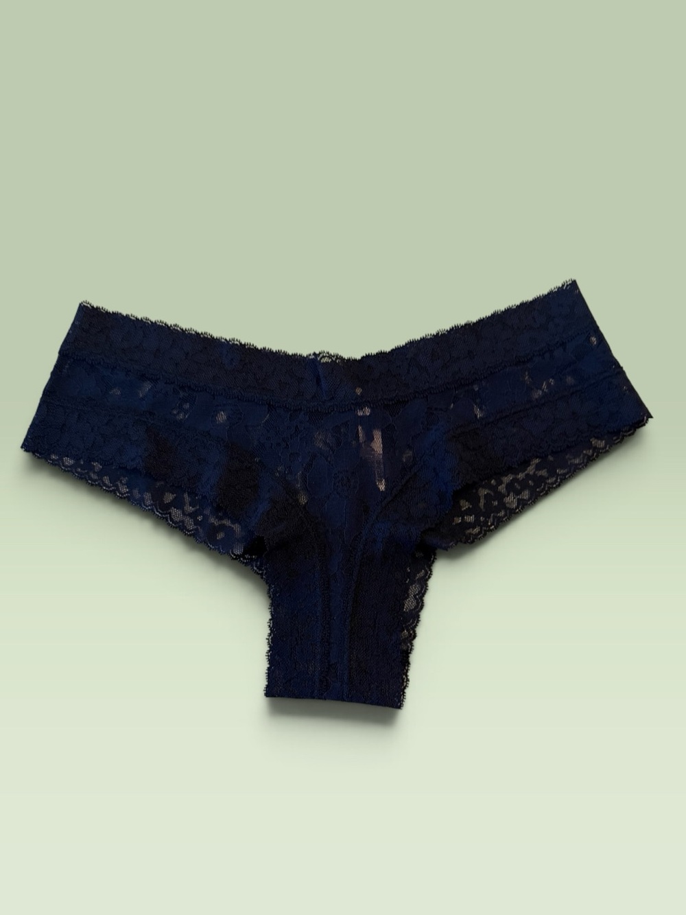 Victoria's Secret Navy Lace Hipster Panty